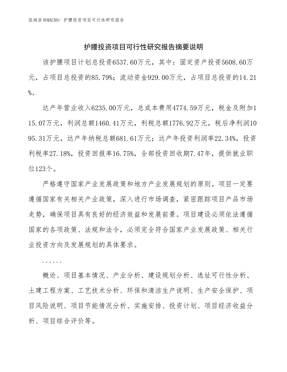 护腰投资项目可行性研究报告_第2页