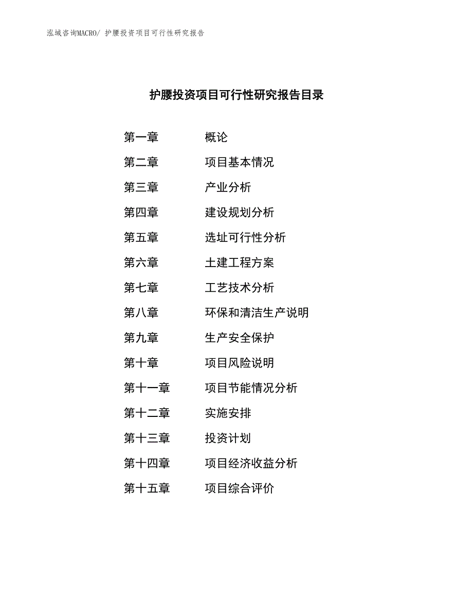 护腰投资项目可行性研究报告_第3页