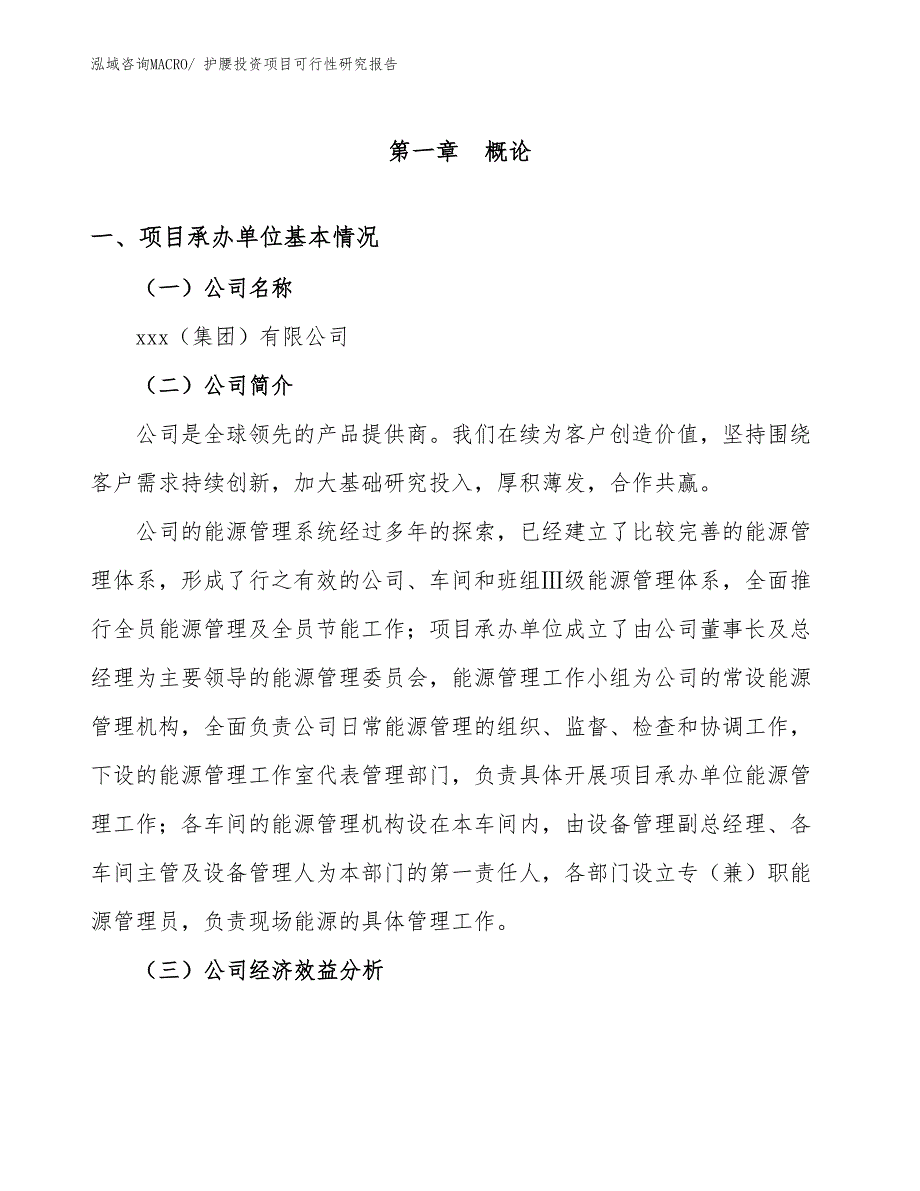 护腰投资项目可行性研究报告_第4页