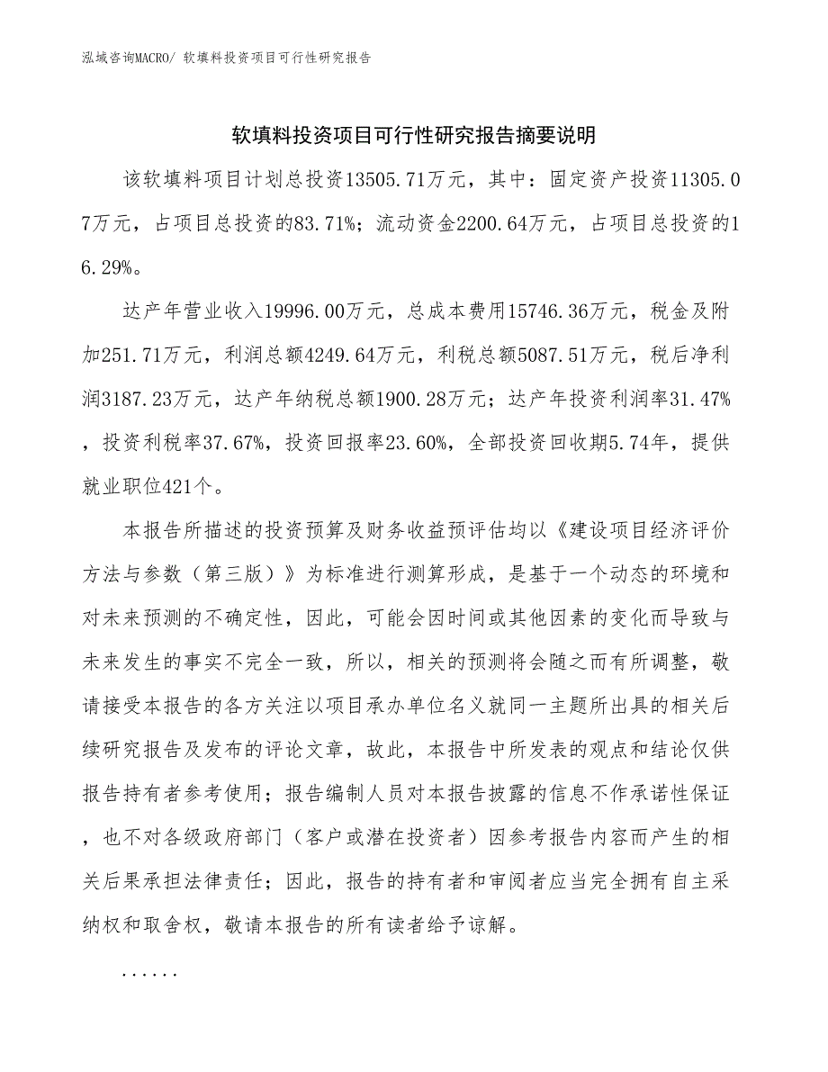 软填料投资项目可行性研究报告_第2页