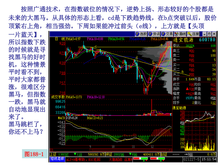 风吹草低见牛羊_第2页