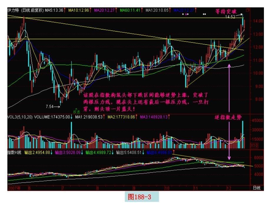 风吹草低见牛羊_第5页