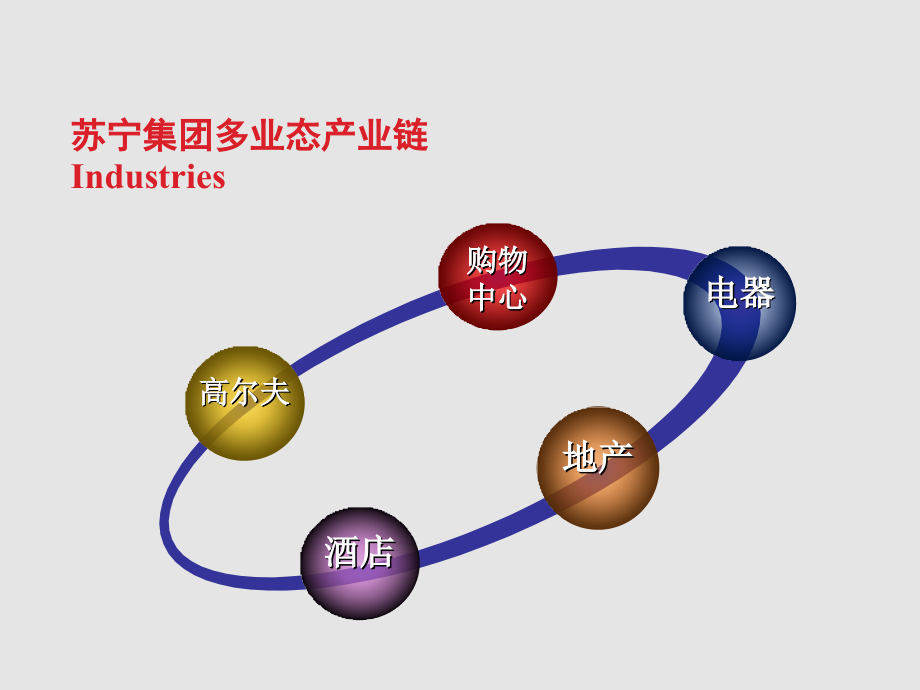 苏宁商管招商项目简介_第4页