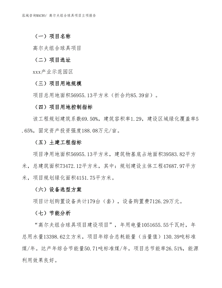 高尔夫组合球具项目立项报告_第2页