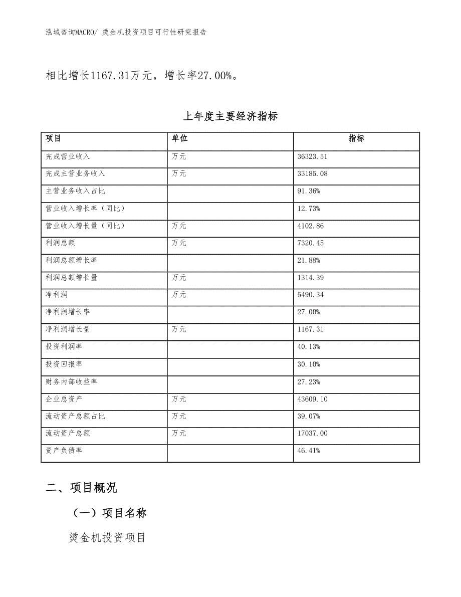 烫金机投资项目可行性研究报告_第5页