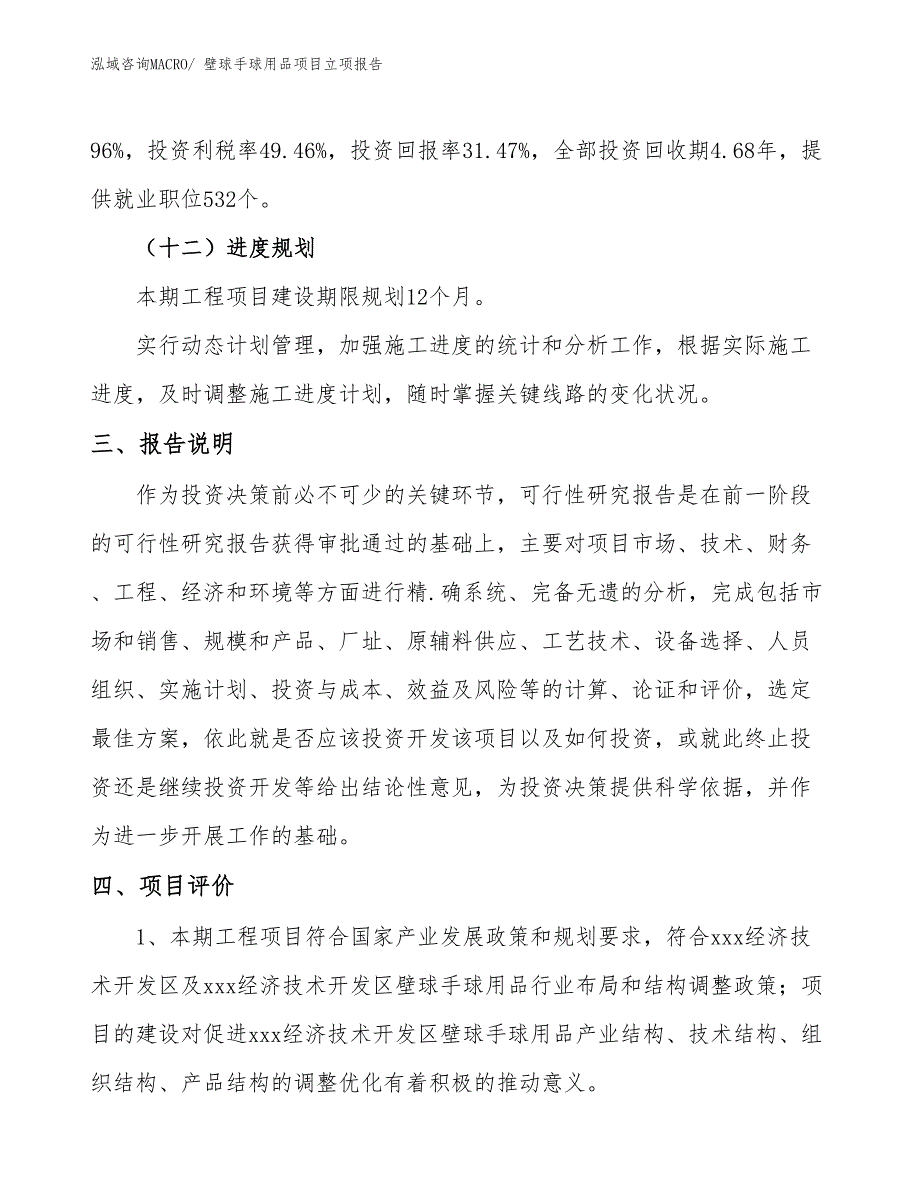 壁球手球用品项目立项报告_第4页