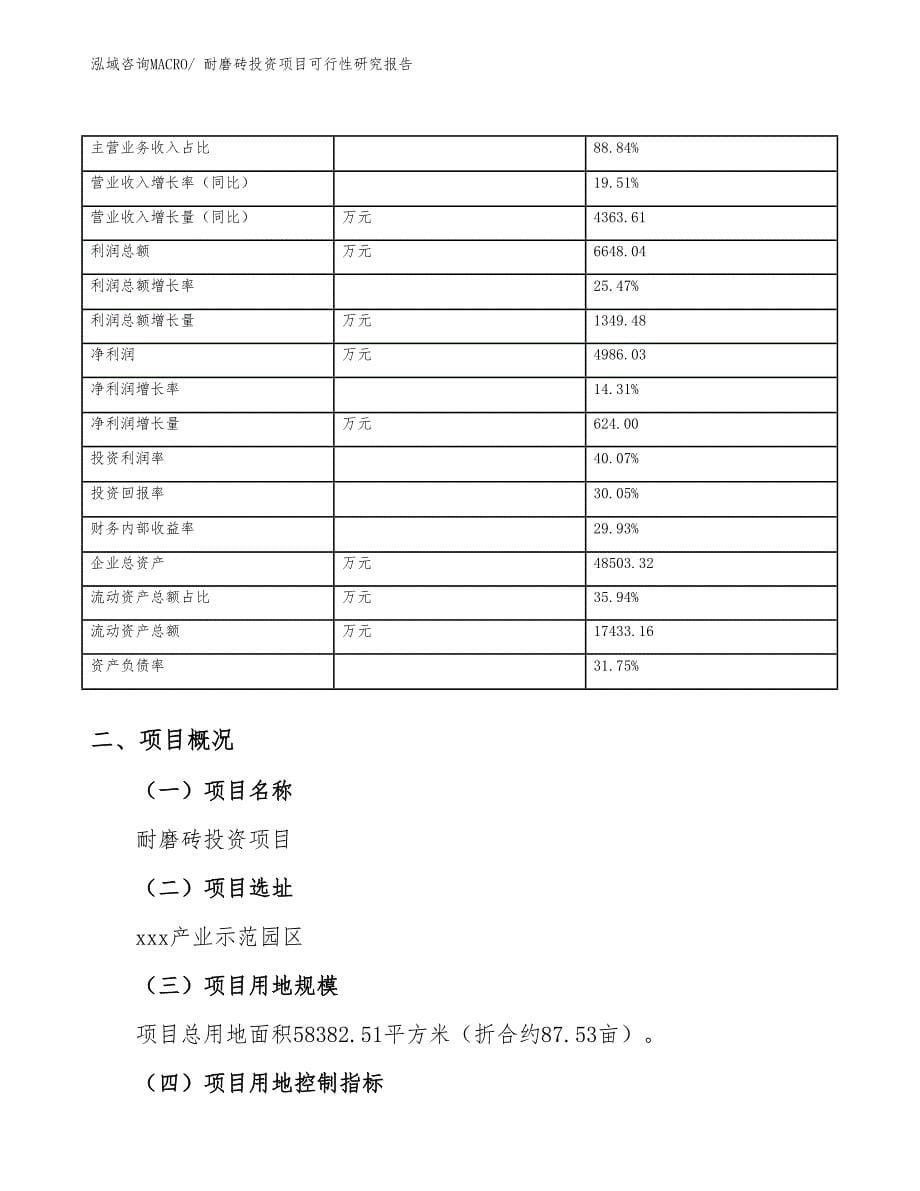 耐磨砖投资项目可行性研究报告_第5页