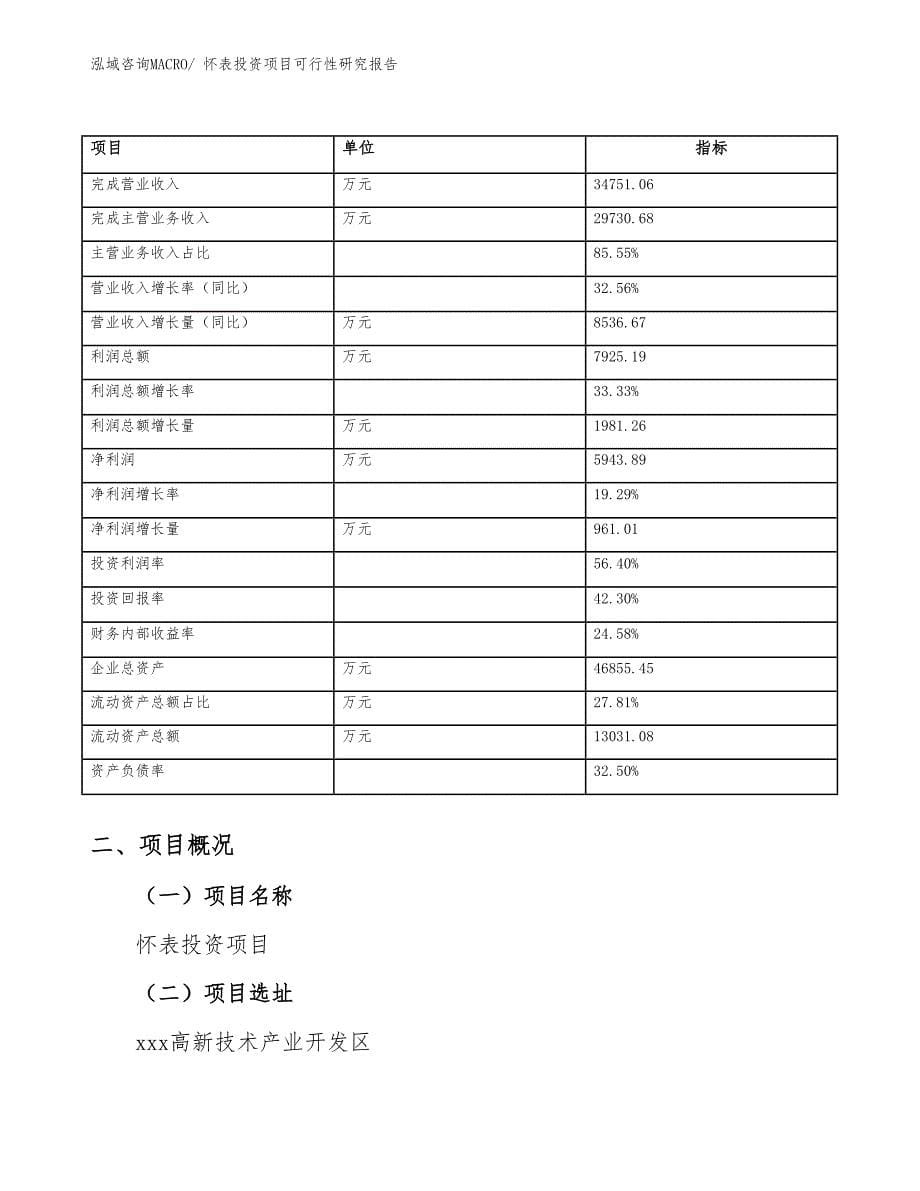 怀表投资项目可行性研究报告_第5页