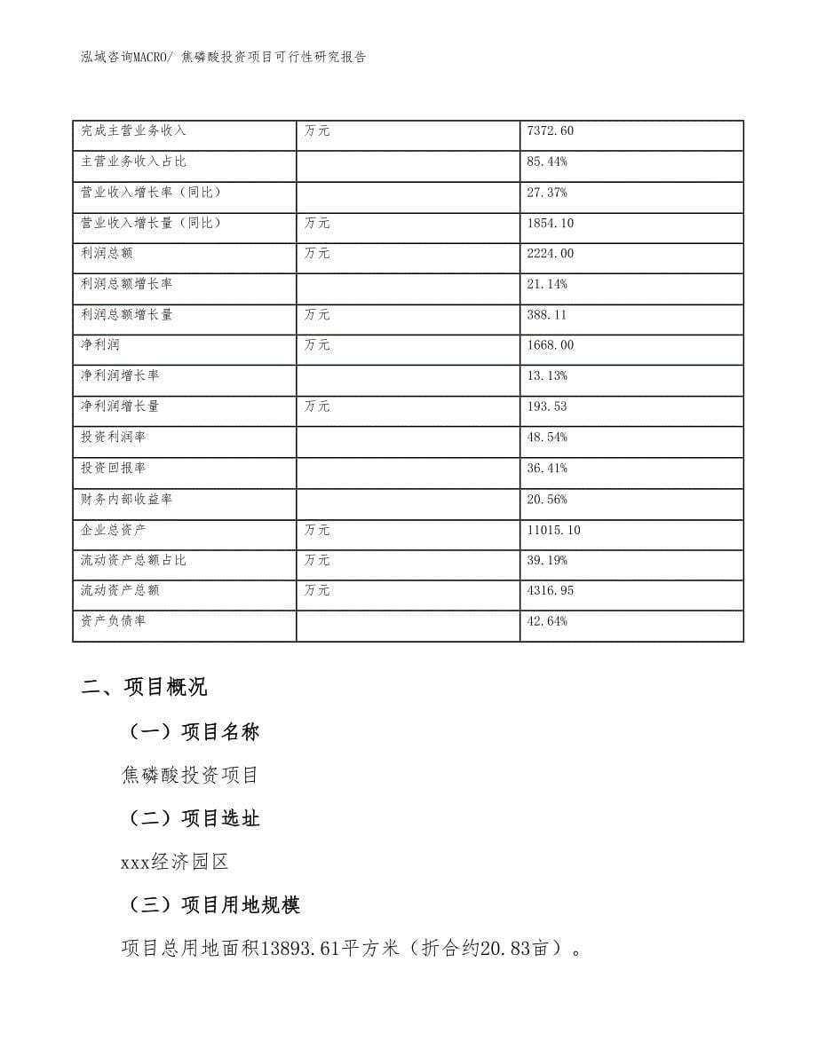 焦磷酸投资项目可行性研究报告_第5页