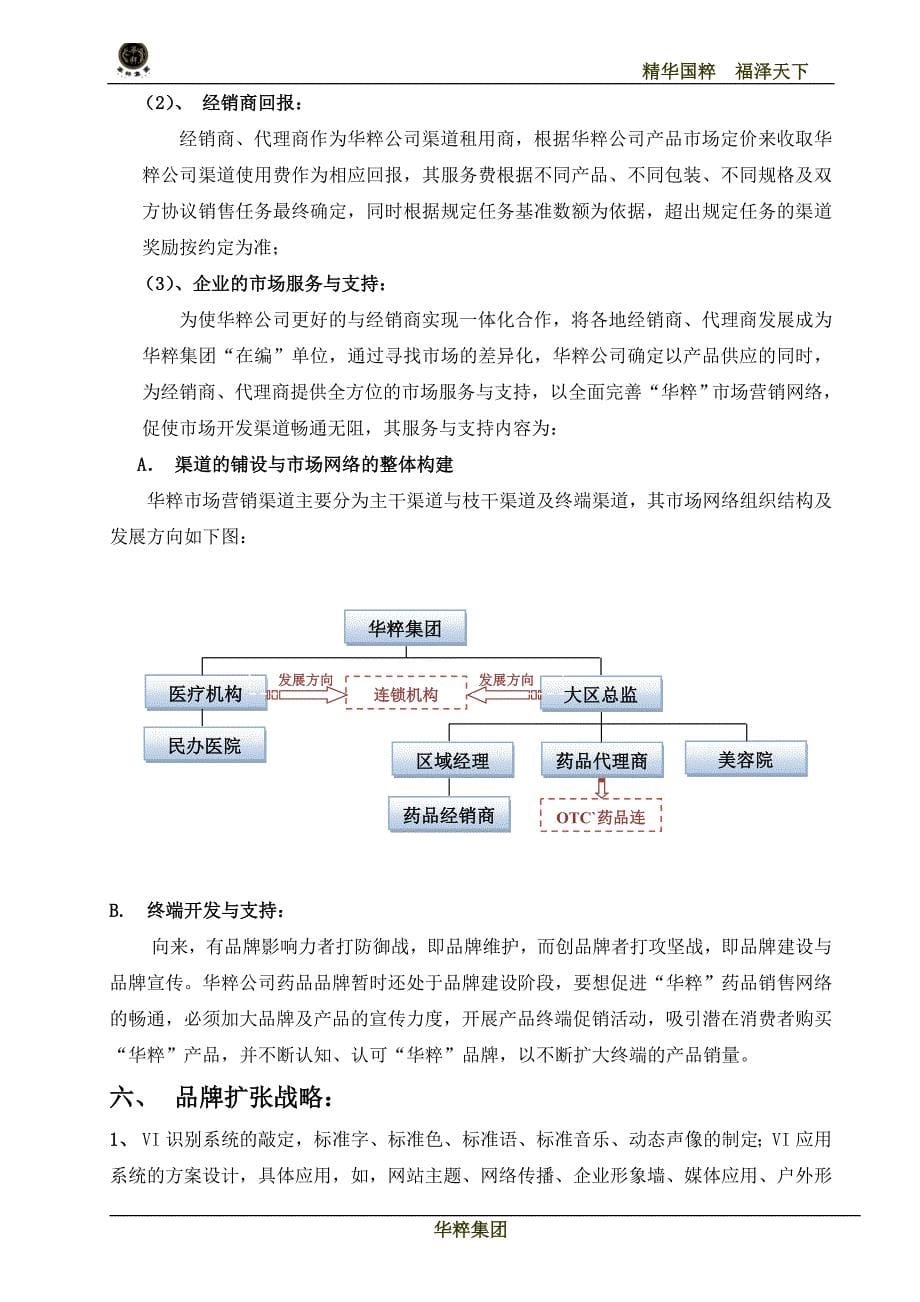 药业公司运营方案_第5页