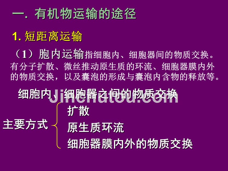 有机物质的同化与转运_第4页