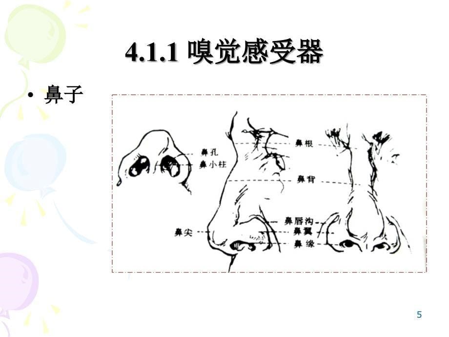 嗅觉和葡萄酒气味分析_第5页