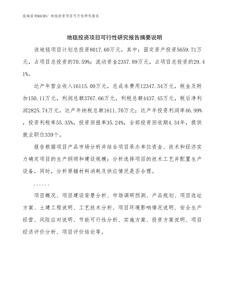 地毯投资项目可行性研究报告_第2页