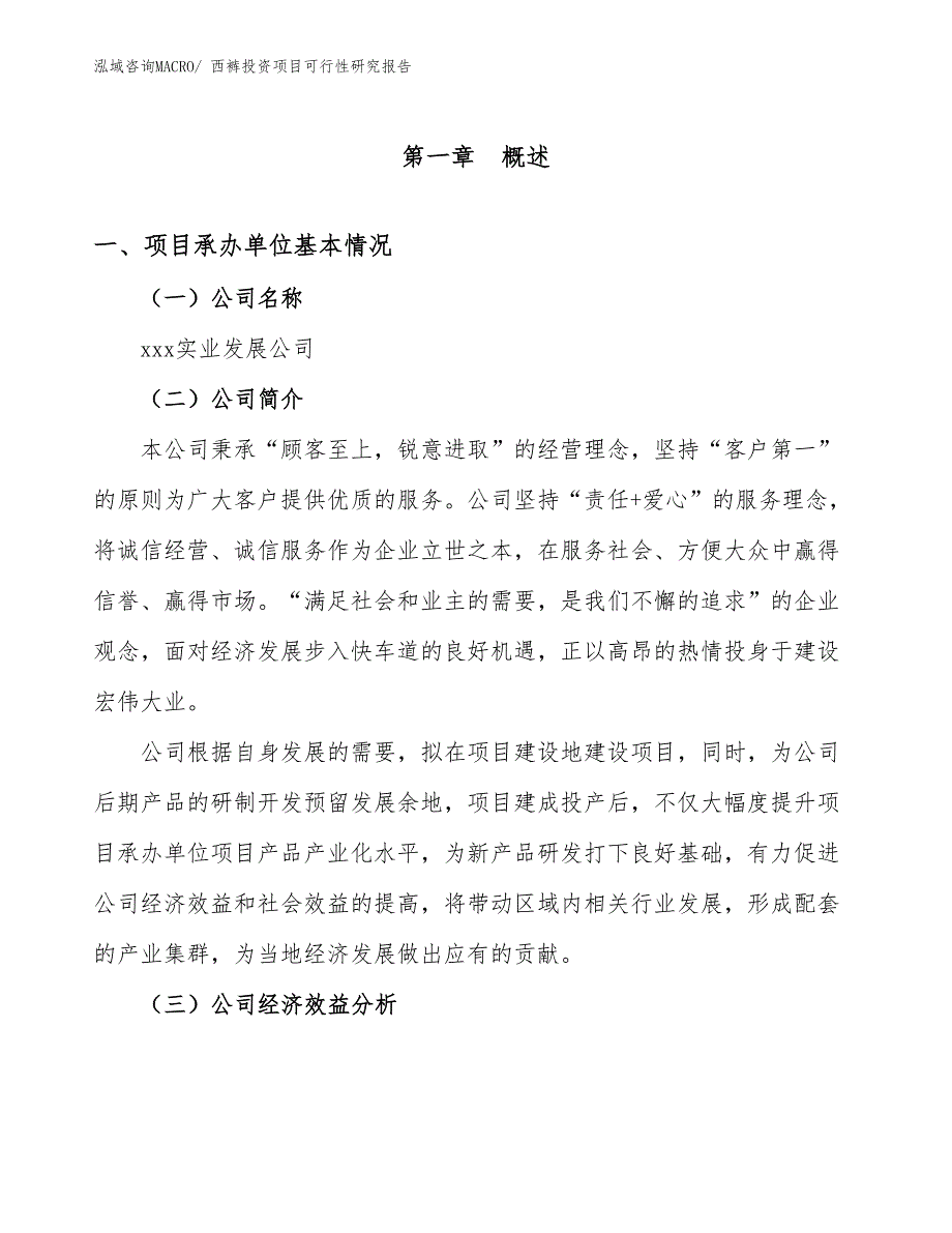 西裤投资项目可行性研究报告_第4页