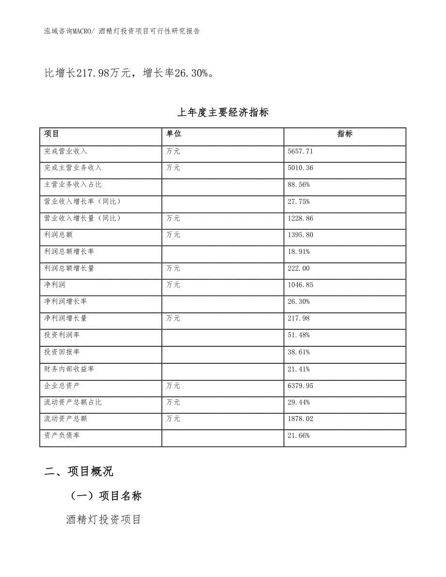 酒精灯投资项目可行性研究报告_第5页