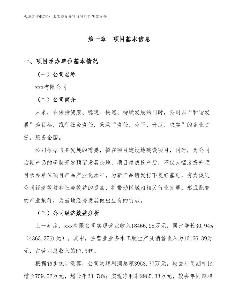 木工胶投资项目可行性研究报告_第5页