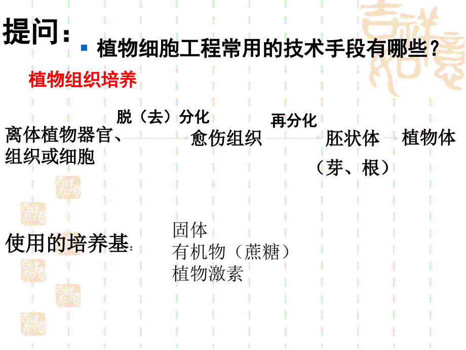 选修三动物细胞培养和核移植技术_第2页