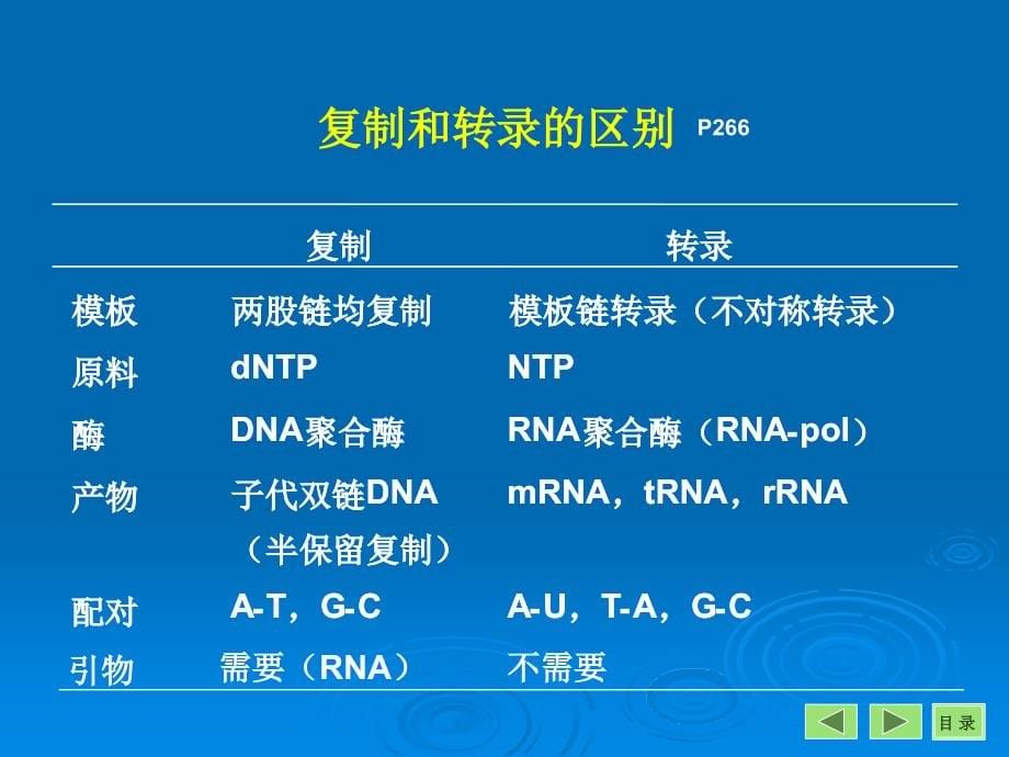 的生物合成（转录p266）_第5页