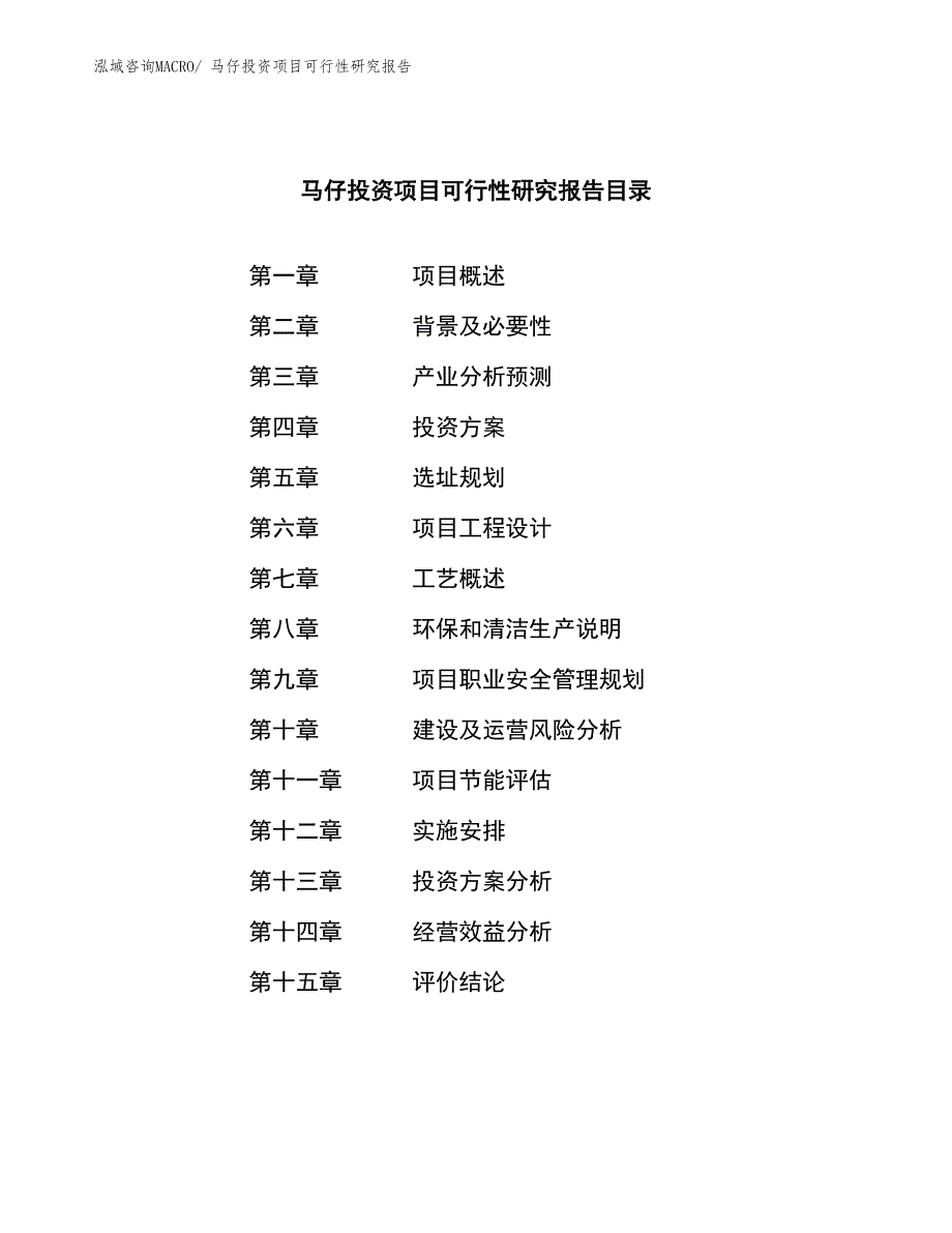 马仔投资项目可行性研究报告_第3页