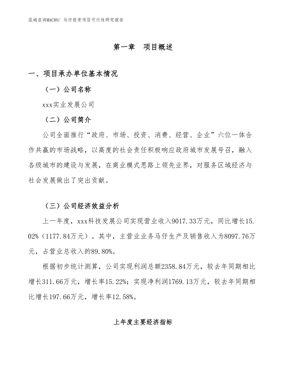 马仔投资项目可行性研究报告_第4页