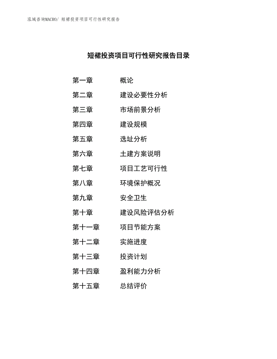 短裙投资项目可行性研究报告_第3页