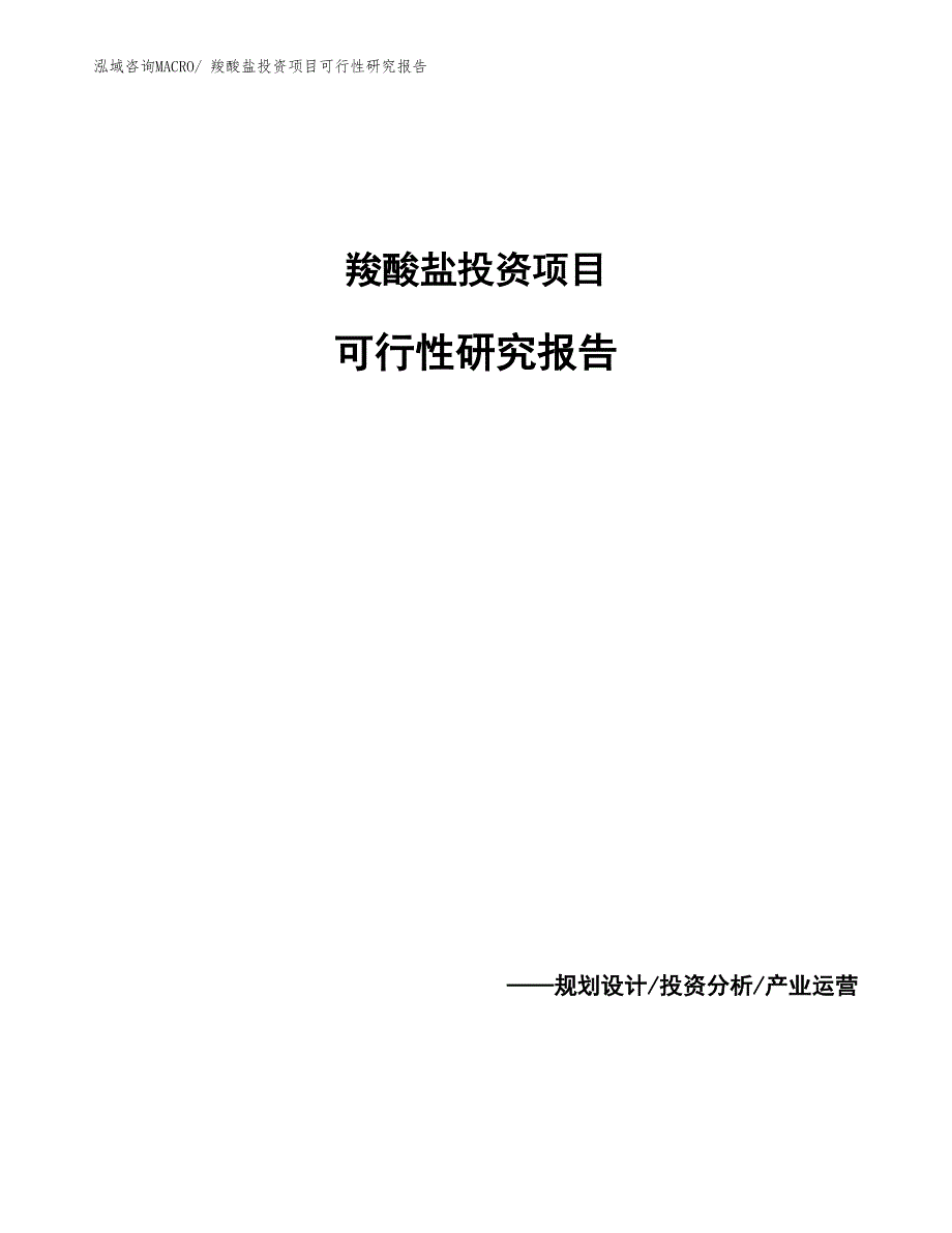 羧酸盐投资项目可行性研究报告_第1页