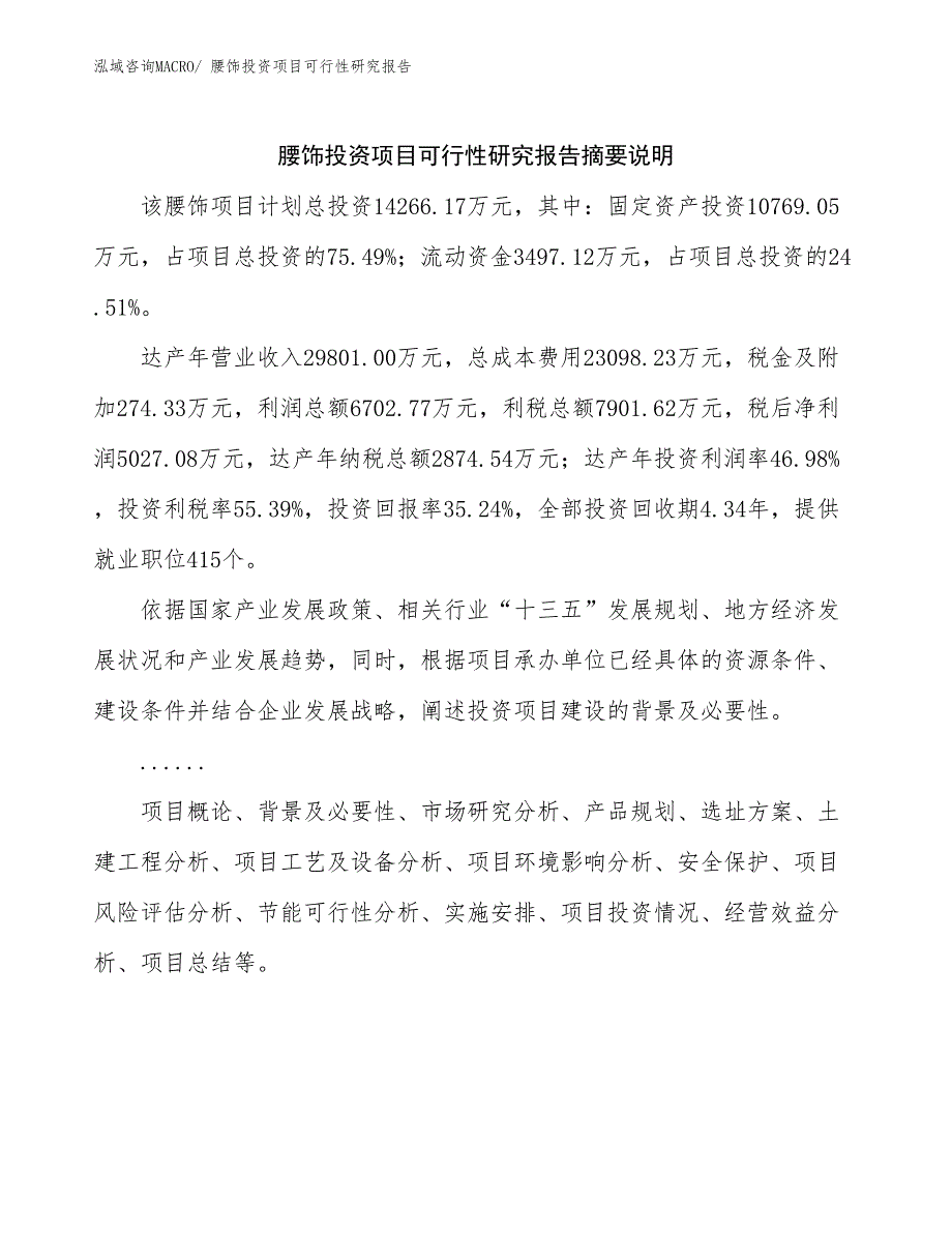 腰饰投资项目可行性研究报告_第2页