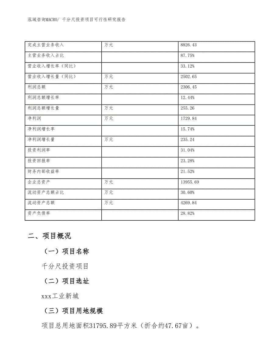 千分尺投资项目可行性研究报告_第5页