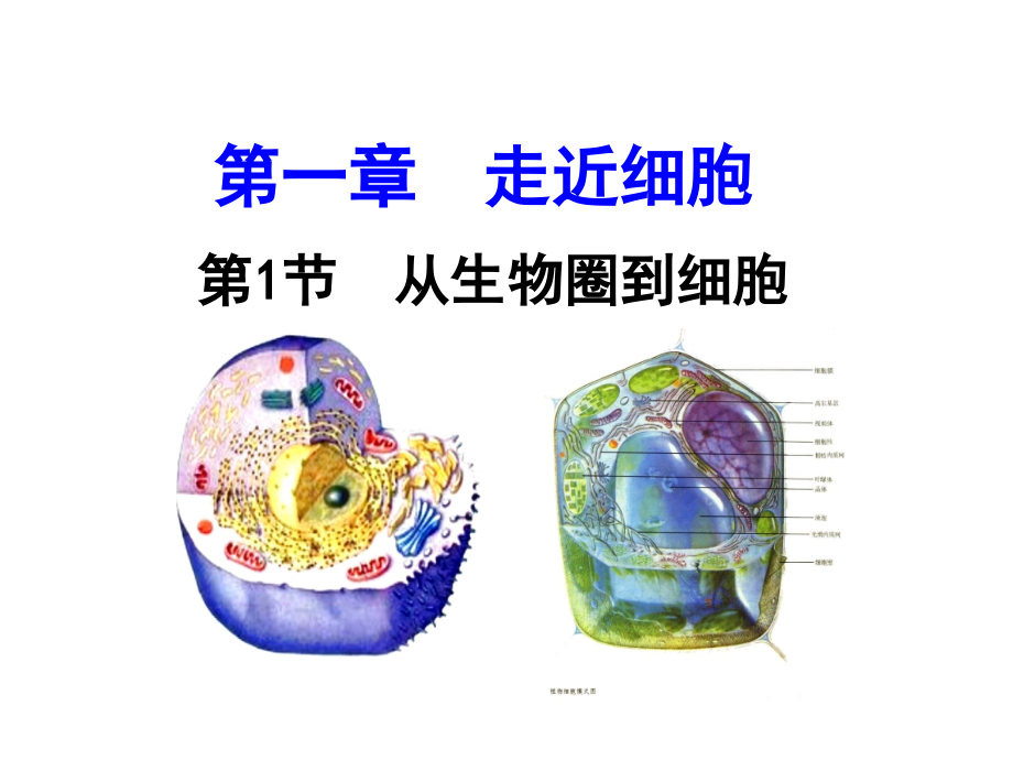 高三生物第一轮复习--必修一全套课件精华版1_第1页