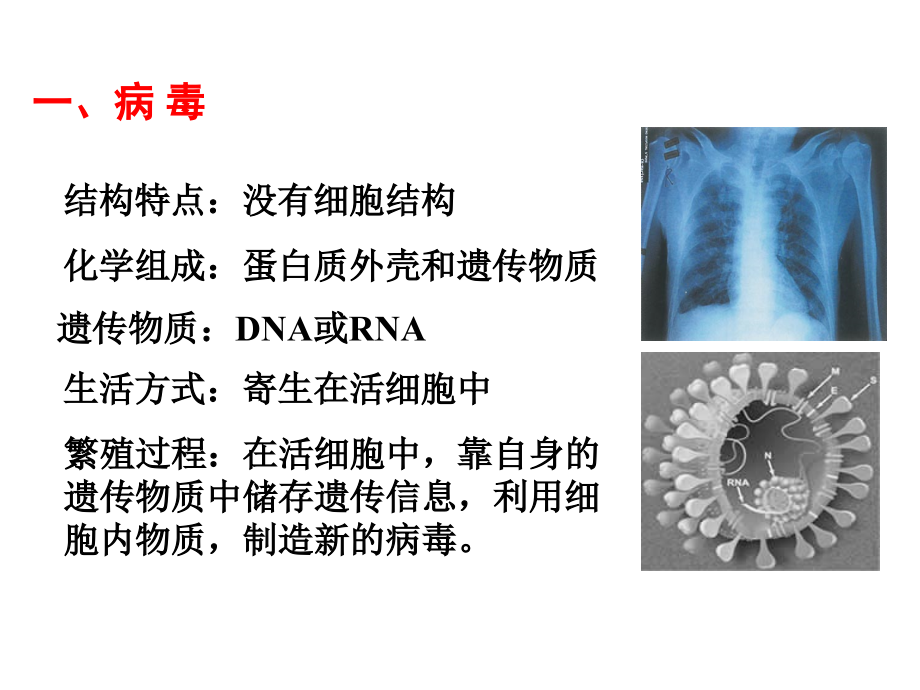 高三生物第一轮复习--必修一全套课件精华版1_第2页