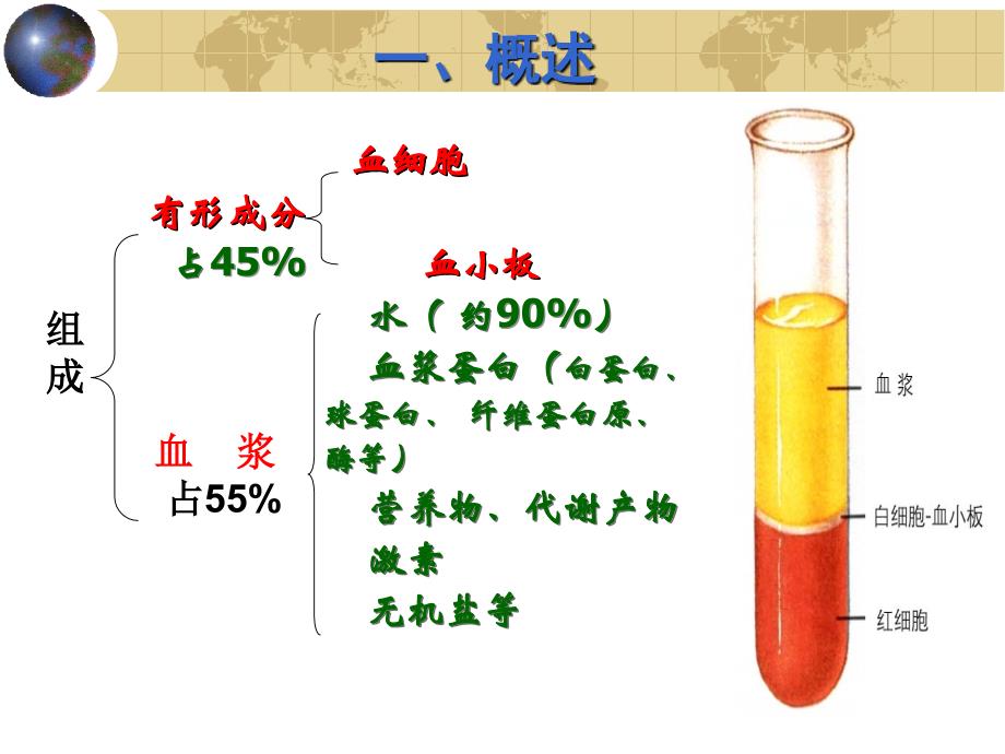 组织学及胚胎学血液_第3页