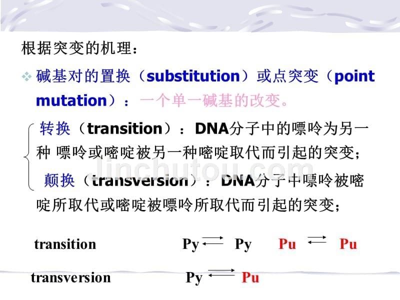 损伤修复和重组_第5页