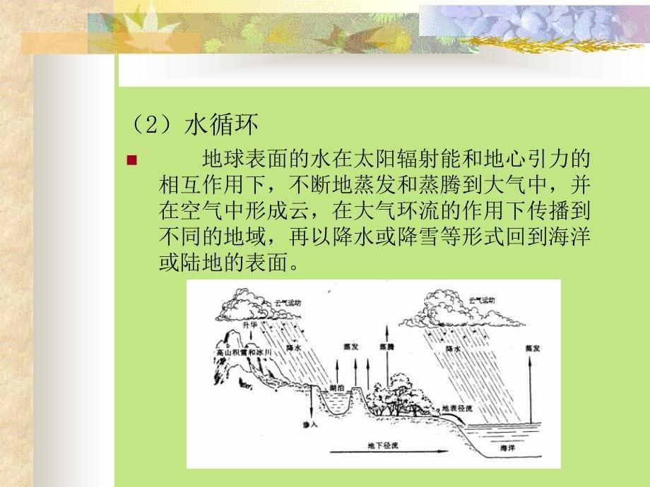 环境污染与控制——水污染与固体废弃物_第5页