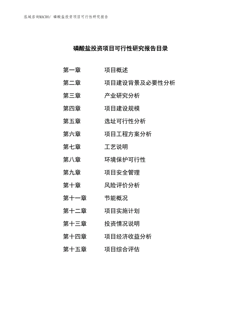 磷酸盐投资项目可行性研究报告_第3页