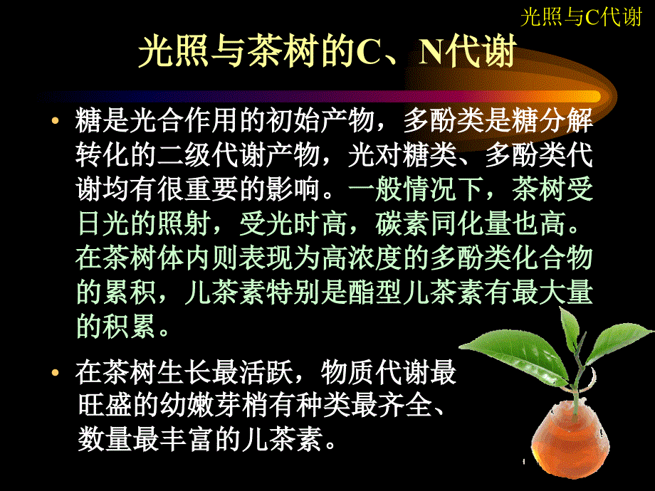 环境对茶树物质代谢的作_第4页