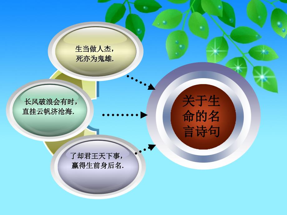 初三语文《谈生命》_第4页