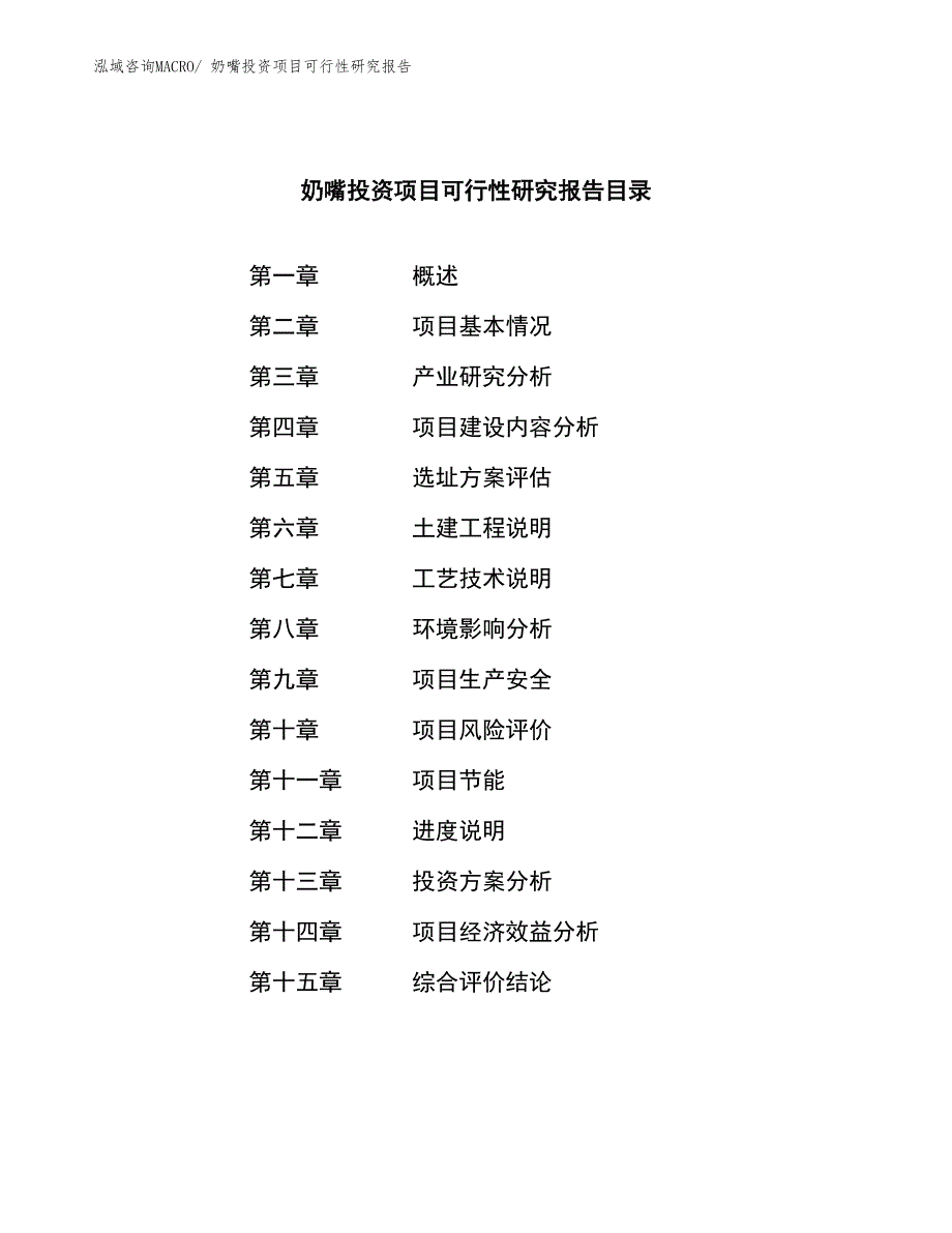 奶嘴投资项目可行性研究报告_第4页