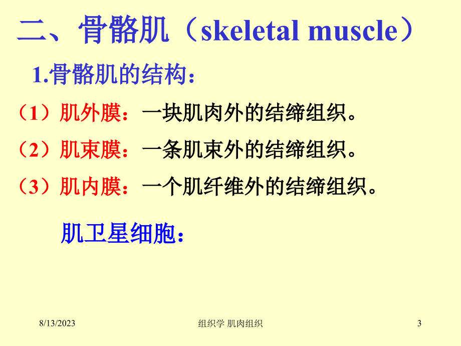 组织学及胚胎学肌肉组织_第3页