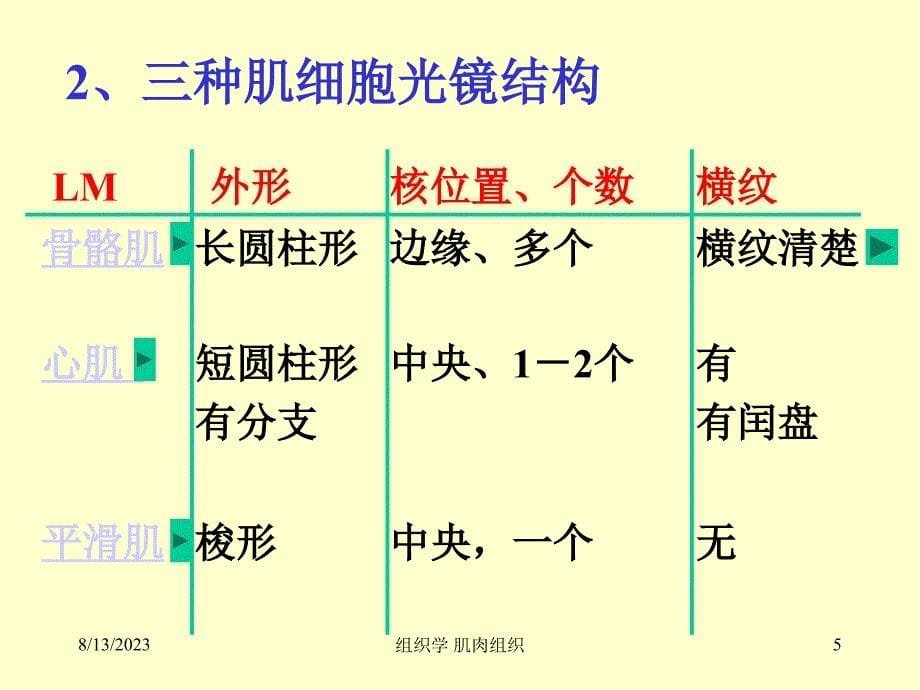 组织学及胚胎学肌肉组织_第5页