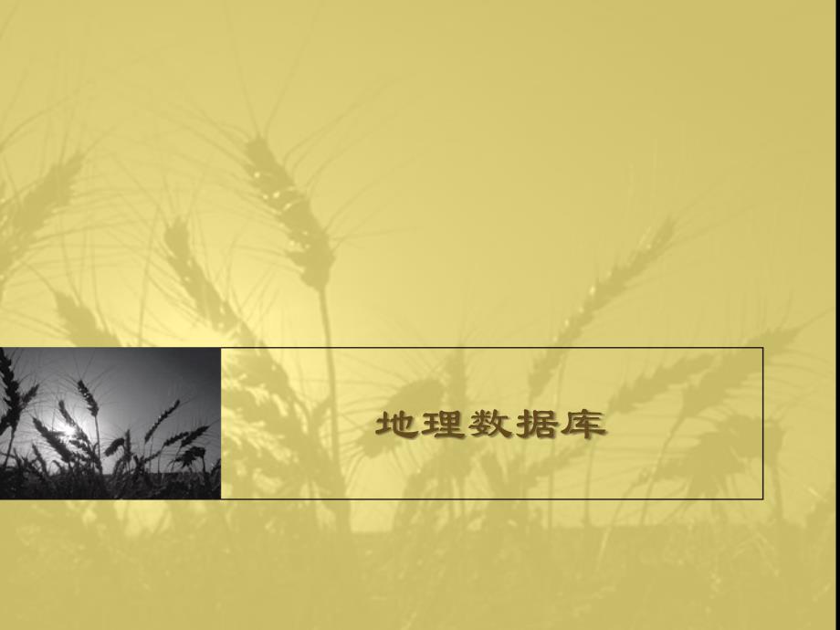 空间数据的采集与组织_第1页