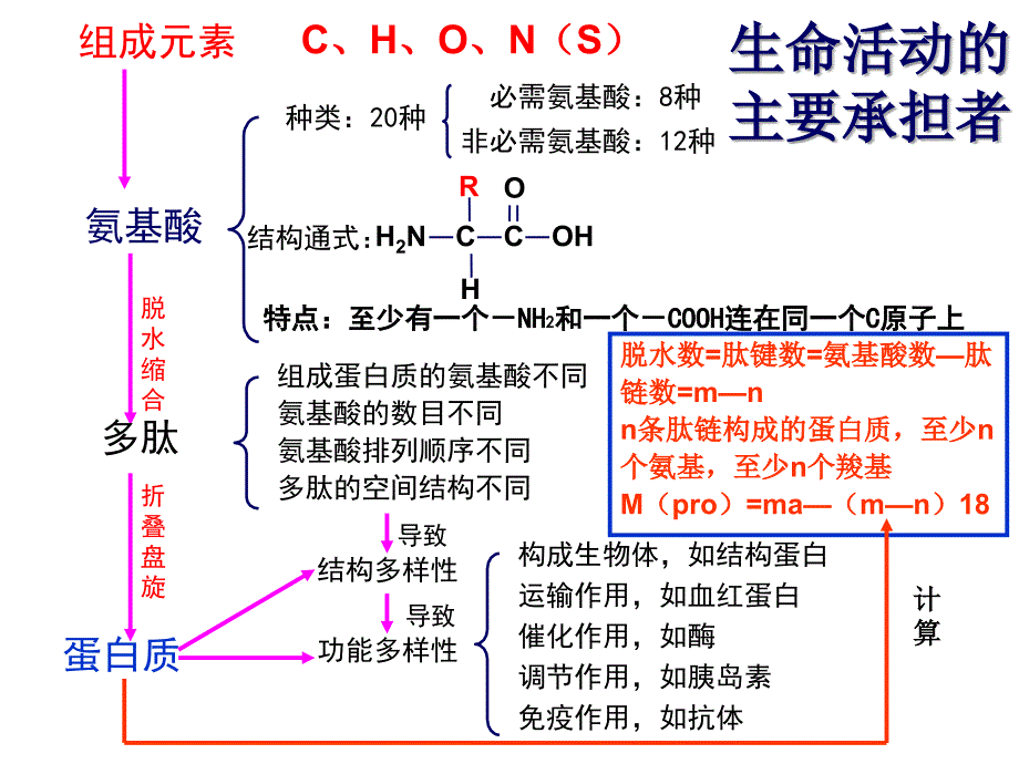 生物必修一1-4章小结_第3页