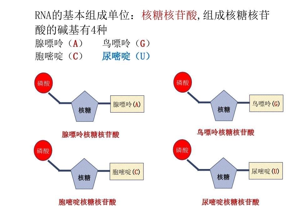 生物必修一1-4章小结_第5页