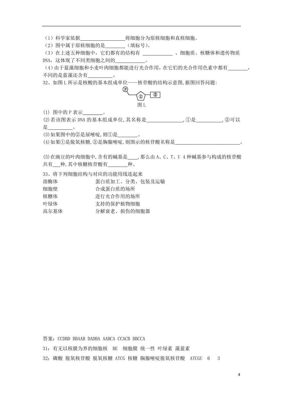 湖南省衡阳县第四中学2018_2019届高一生物上学期期中试题_第4页