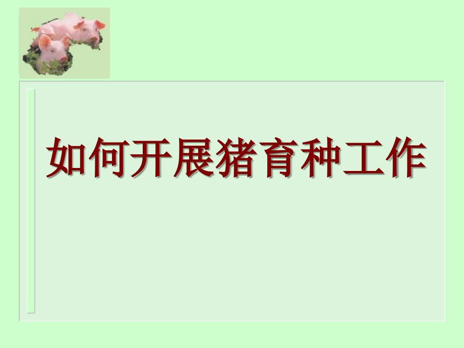 《猪的育种方案》ppt课件_第1页