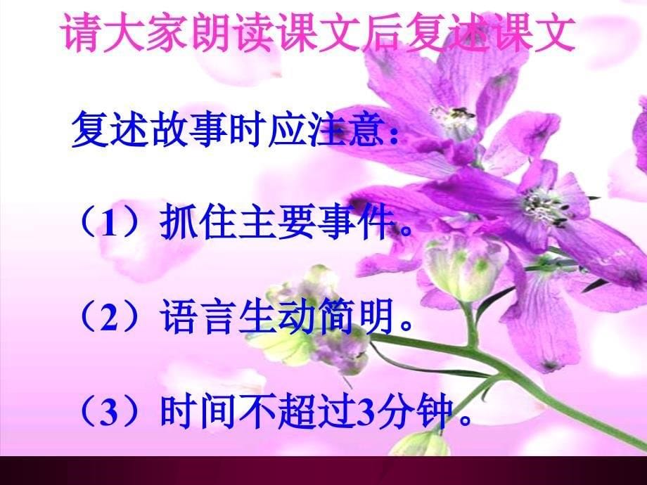 《父母的心》课件（苏教版）5_第5页