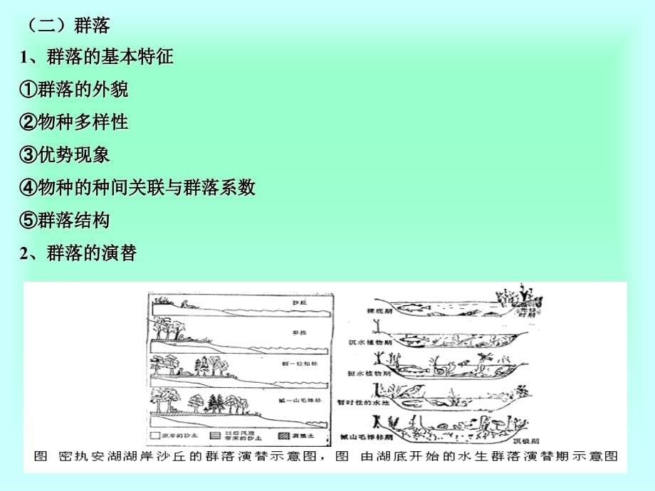 旅游资源与环境研究-第5讲-旅游资源与环境研究环境生态学原理_第5页