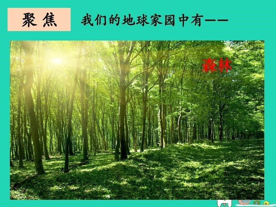 2018年二年级科学上册1.1地球家园中有什么课件1教科版_第5页