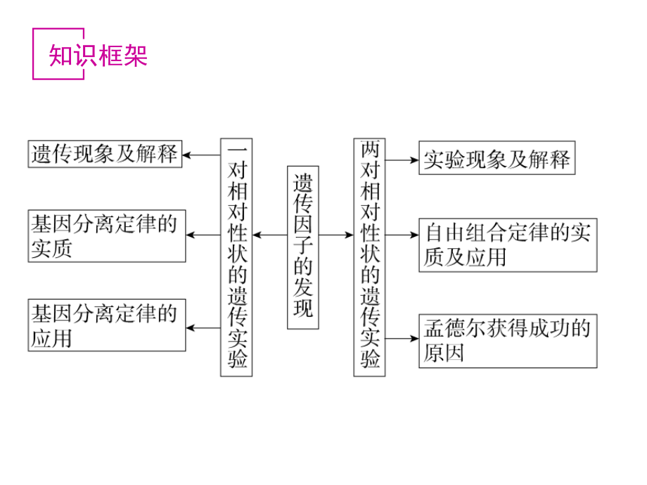 孟德尔杂交实验（1）_第2页