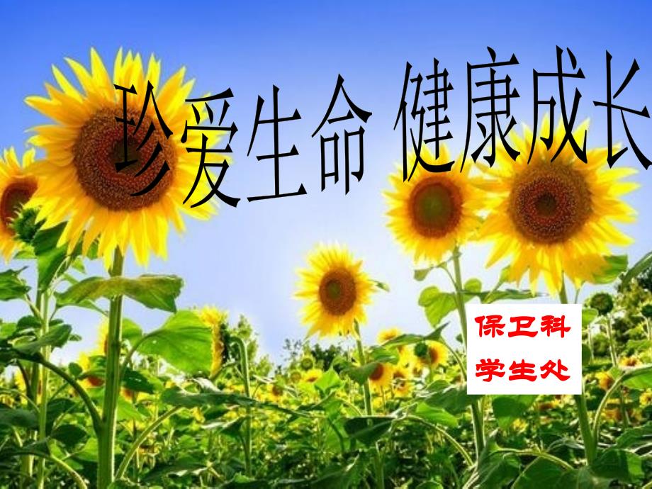 《防踩踏安全教育》ppt课件_第1页