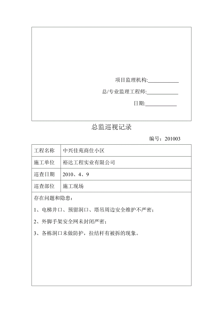 《总监巡视记录》word版_第3页